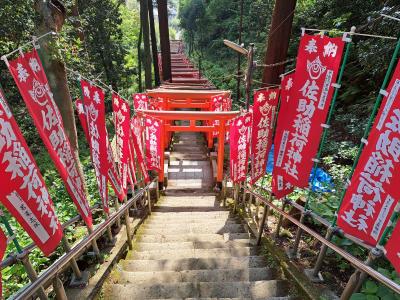 2023.4　日帰り鎌倉　見所19か所巡り（神社仏閣9つ）・33000歩　備忘録　