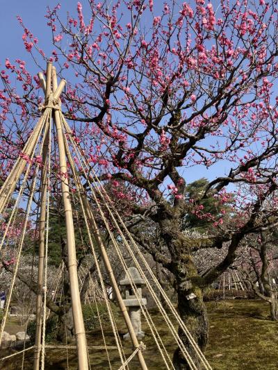 母の80歳誕生日旅行～金沢観光・山中温泉たわらや泊