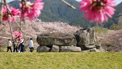 サイクリングで巡る飛鳥三寺　一番好きな寺