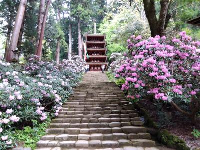 室生寺の石楠花を見に行く旅@少しだけ大野寺