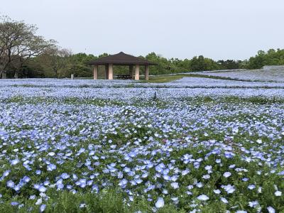 海の中道