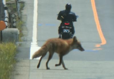 阿蘇と震災遺構