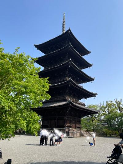 青紅葉の京都鷹峯　KYOTO