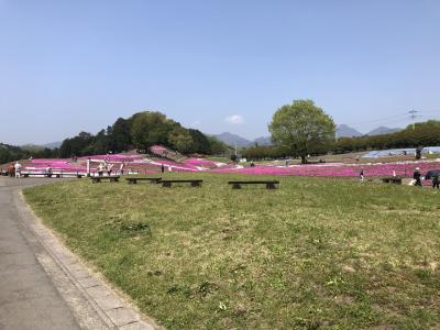 春の軽井沢ドライブ、榛名湖周辺も行ったよ。