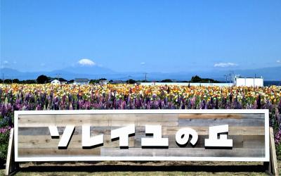 新)ソレイユの丘;三浦半島のエンターテイメントパーク