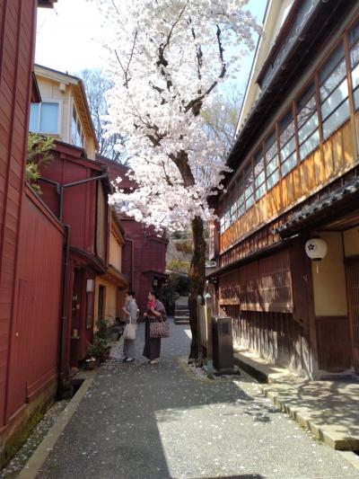 金沢に春がやってきた。バスと徒歩で市内散策、時々B級グルメ。