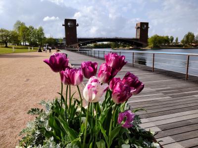 春の北陸グルメ日記 ~②富山湾の幸と春風の富岩運河クルーズ~