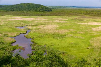 釧路/根室/中標津ぐるり旅【1】~原始的な姿を残す日本最大の湿原~釧路湿原①(サルボ展望台&コッタロ湿原展望台