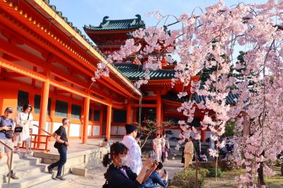 さくら舞い散る古都京都⑤平安神宮、京都御苑・京都御所