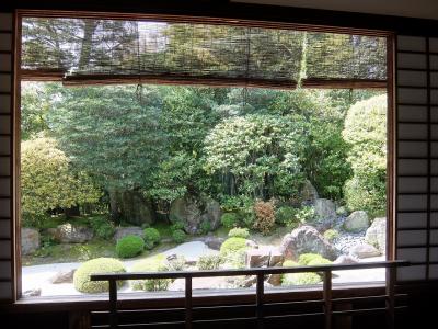 京都・大阪の旅（１）妙心寺、退蔵院