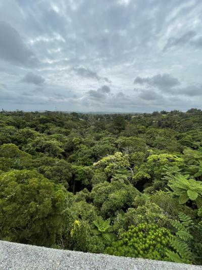 4泊5日沖縄旅行②