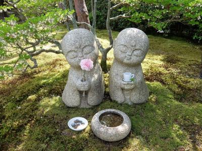 京都・大阪の旅（２）妙心寺の塔頭、大雄院、桂春院、大法院