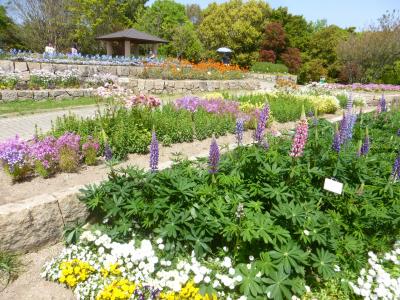 かなり久し振りに行った「海の中道海浜公園」【動物の森②、大芝生広場、バラ園、フラワーミュージアム編】