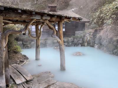 東北ゆったり温泉旅行 (角館、乳頭温泉鶴の湯、ワ・ラッセ、三内丸山遺跡、酸ヶ湯温泉、弘前城)