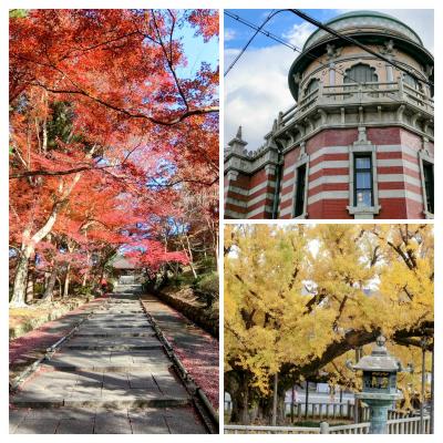 麗しの秋の日に、毘沙門堂の散り紅葉と西本願寺の大銀杏  
