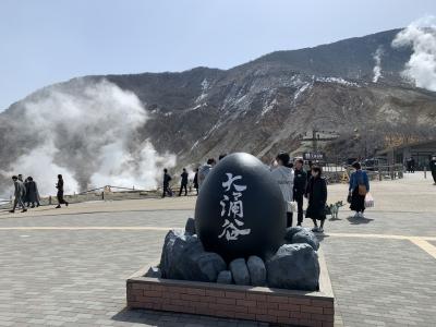 ロマンスカーで行く1泊2日で箱根母娘旅 2日目 観光編