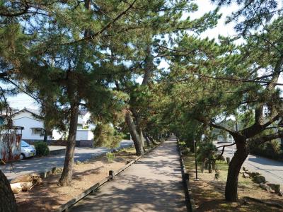 お城と景色と海鮮と　6月の静岡　1泊2日旅行（1日目:掛川・三保の松原編）