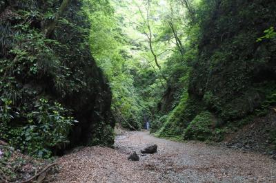 今熊山　金剛の滝