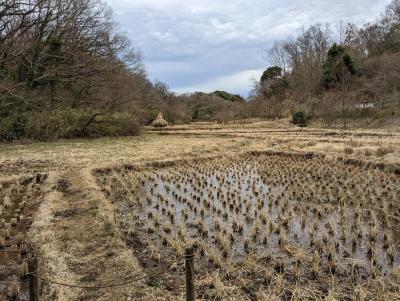 戸塚区舞岡町から港南区にかけて広がる自然公園。 四季折々に木々が生い茂り、水辺・畑や森がそのまま残されているのもすごいです。