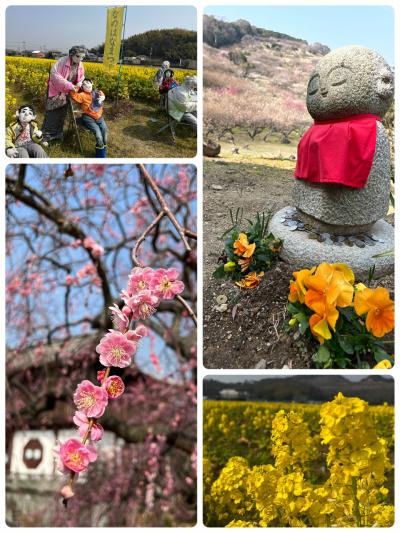 赤穂に１泊して『海の幸』と『梅の花』を楽しむ旅♪＜後編＞