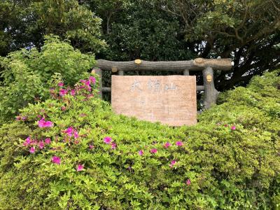 大楠山へ初夏のハイキング