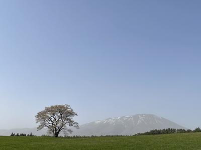 桜を追いかけて、東北へ。初めて姉と行く旅、前編