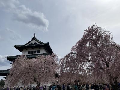 桜を追いかけて、東北へ。初めて姉と行く旅、中編。