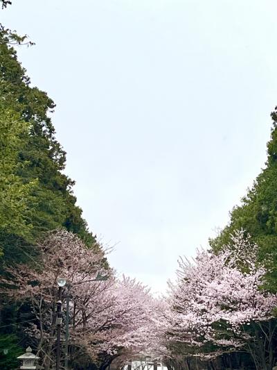 駆け足、美味しいもの食べまくり札幌旅