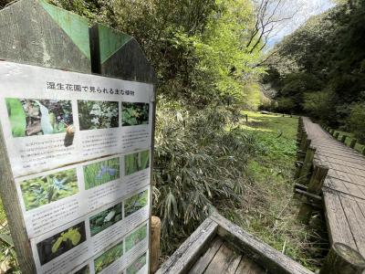 大阪府民の森　室池園地散策