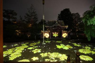 京都の旅 Vol.3 [夜の東山ライトアップ散策](2023年4月)