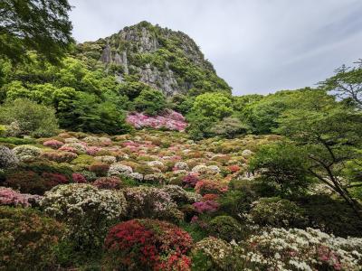 格安ピーチとJALマイレージで西九州周遊1/4 メリーゴーランドミスド 武雄温泉 御船山楽園 リレーかもめ個室