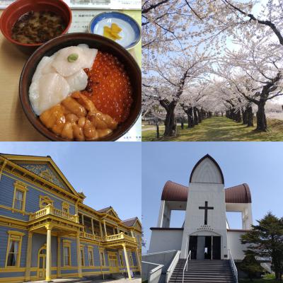 2023年4月　北海道　函館　一人旅　[五稜郭公園の桜、元町、ベイエリア]