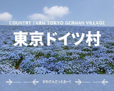 千葉駅から高速バスで東京ドイツ村に行ってみた！ネモフィラ満開！《花畑・アトラクション編》