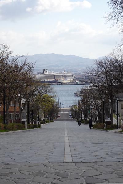 もう二度と歩かないと思う四月末の早朝・函館・開花の早すぎる桜に間に合うの？2023.4秋田・青森・函館ひとり旅5泊6日⑪６日目