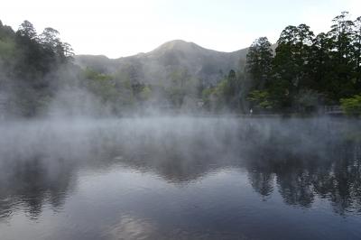 由布院・高千穂・黒川温泉の旅--由布院その2--