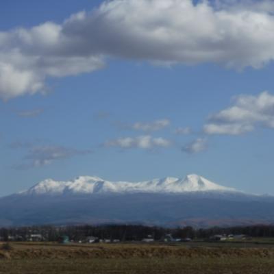 旭川から滋賀県へ帰省。飛行機は羽田乗り継ぎで、すごく大変だった件。