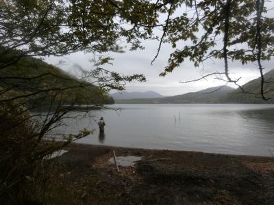 曇天の箱根へ。①箱根で明神ケ岳に登ろうと思ったら天気予報は曇り。降水確率20％　よって芦ノ湖西岸のハイキングに予定変更しました。