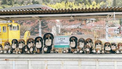 滋賀県　3泊4日の旅③ のぼり窯とたぬきの信楽へ