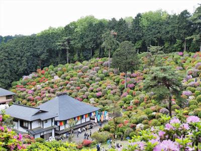 肩を借りて、塩船観音寺