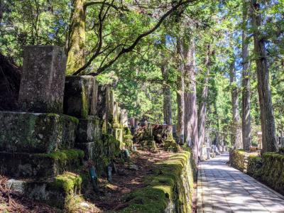 目指せ全県制覇★和歌山・大阪の旅～高野山で感動体験～