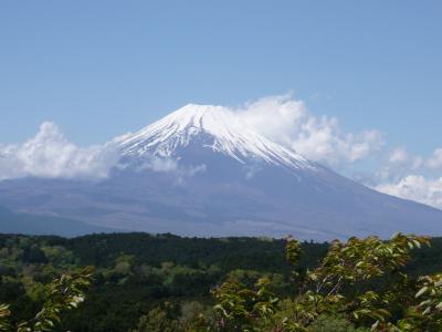 三島スカイウォークと修善寺・沼津オモウマ