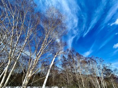 2023年春:1日目初♪草津温泉SKI RESORT『天狗山&青葉山山頂』でシャリシャリスキー＆日本屈指の名湯『草津温泉』観光♪家族4人で♪