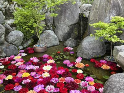 春の飛鳥路～華の水面～