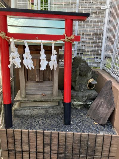 GW初日、朝霞５社～出雲大社埼玉分院～和光市駅～大山駅の神社巡りと御朱印集め II 朝霞５社編　II