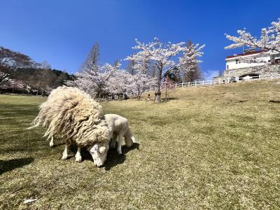 春の神戸、動物と自然に癒しを求めるたび