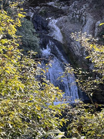 滝メグラーが行く２６２　ゴルフ帰りに滝めぐり　曇り滝　兵庫県神戸市北区