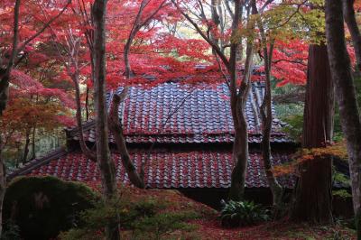 紅葉満喫　滋賀一泊二日（ちょこっとだけ京都）：一日目