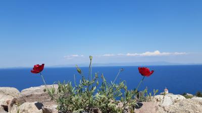 行き当たりばったり旅～ギリシャとトルコのエーゲ海比べ(1/2)～56時間～766km+42,804歩