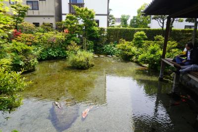 福岡・長崎はしご旅（四日目）～島原・天草の乱の歴史が残る島原ですが、一日の湧水量が22万ｔの水の都。水屋敷や名物かんざらしにも心が和みます～