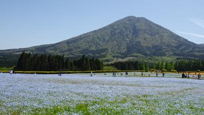 えびの二湖パノラマハイク、花の生駒高原、都井岬の野生馬　南九州の旅１